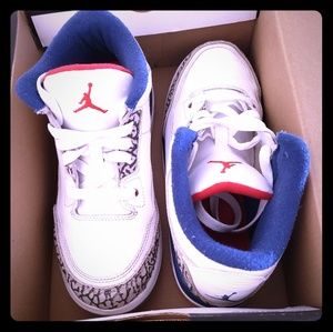 Air Jordan 3 True Blue (2016 Release)